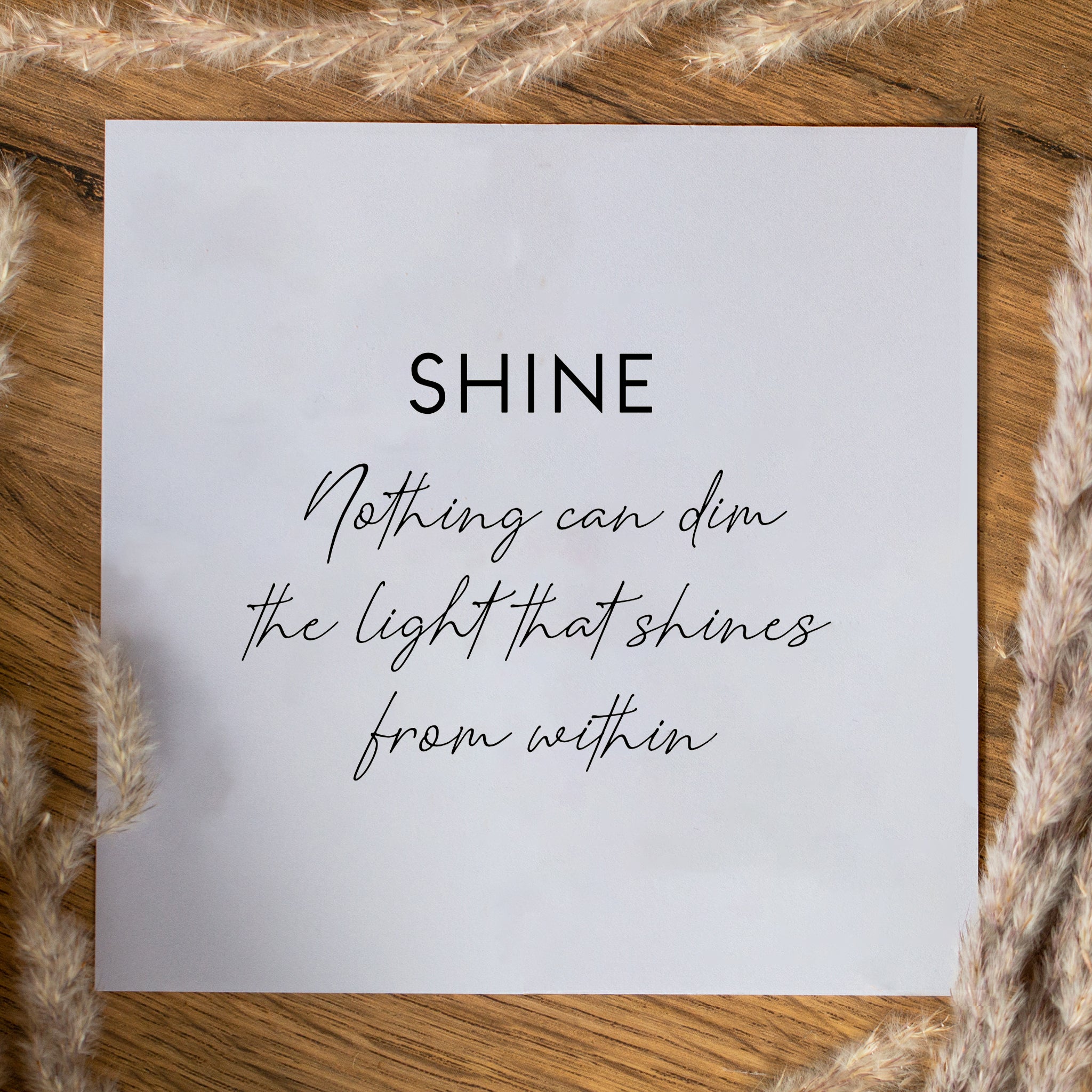 Shine Star Studs - Seek + Find
