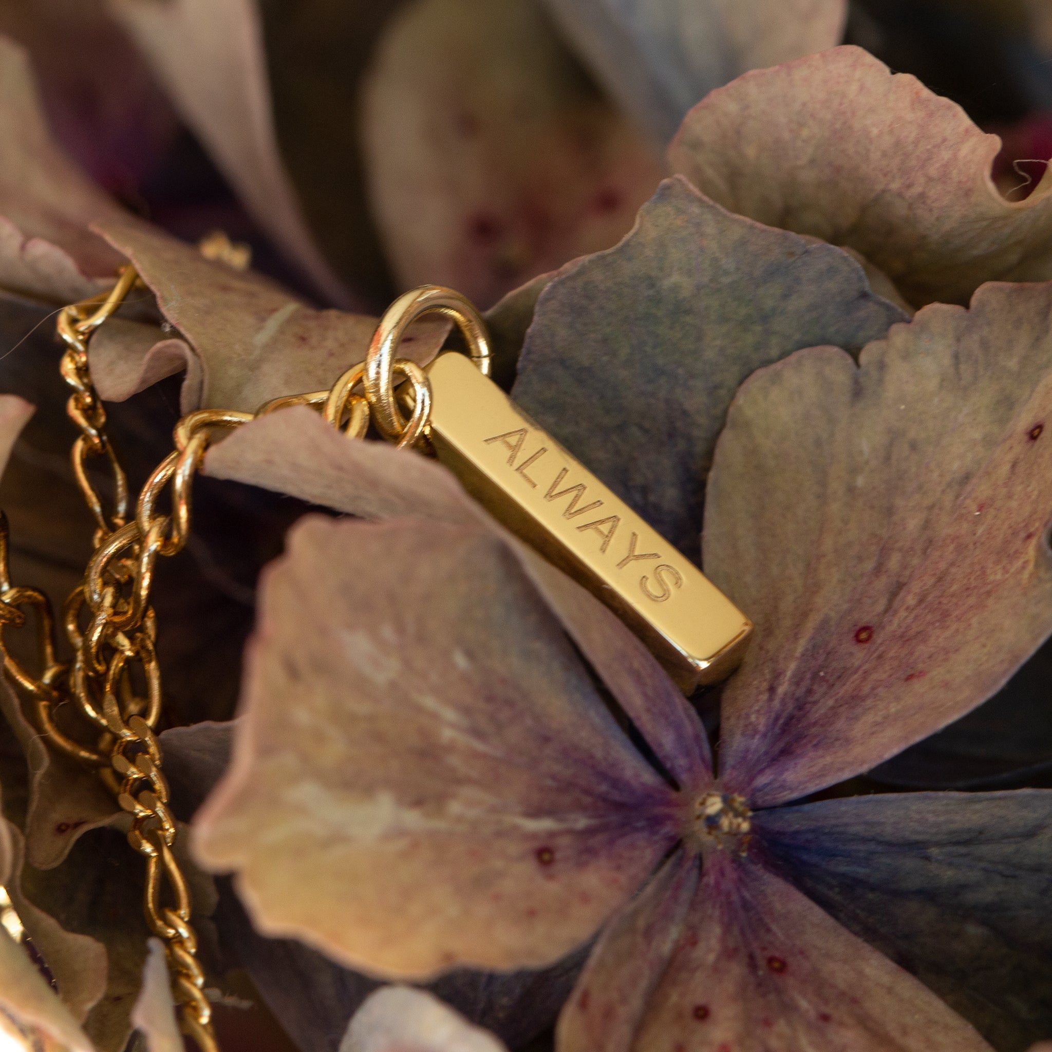 Always Necklace - Seek+Find