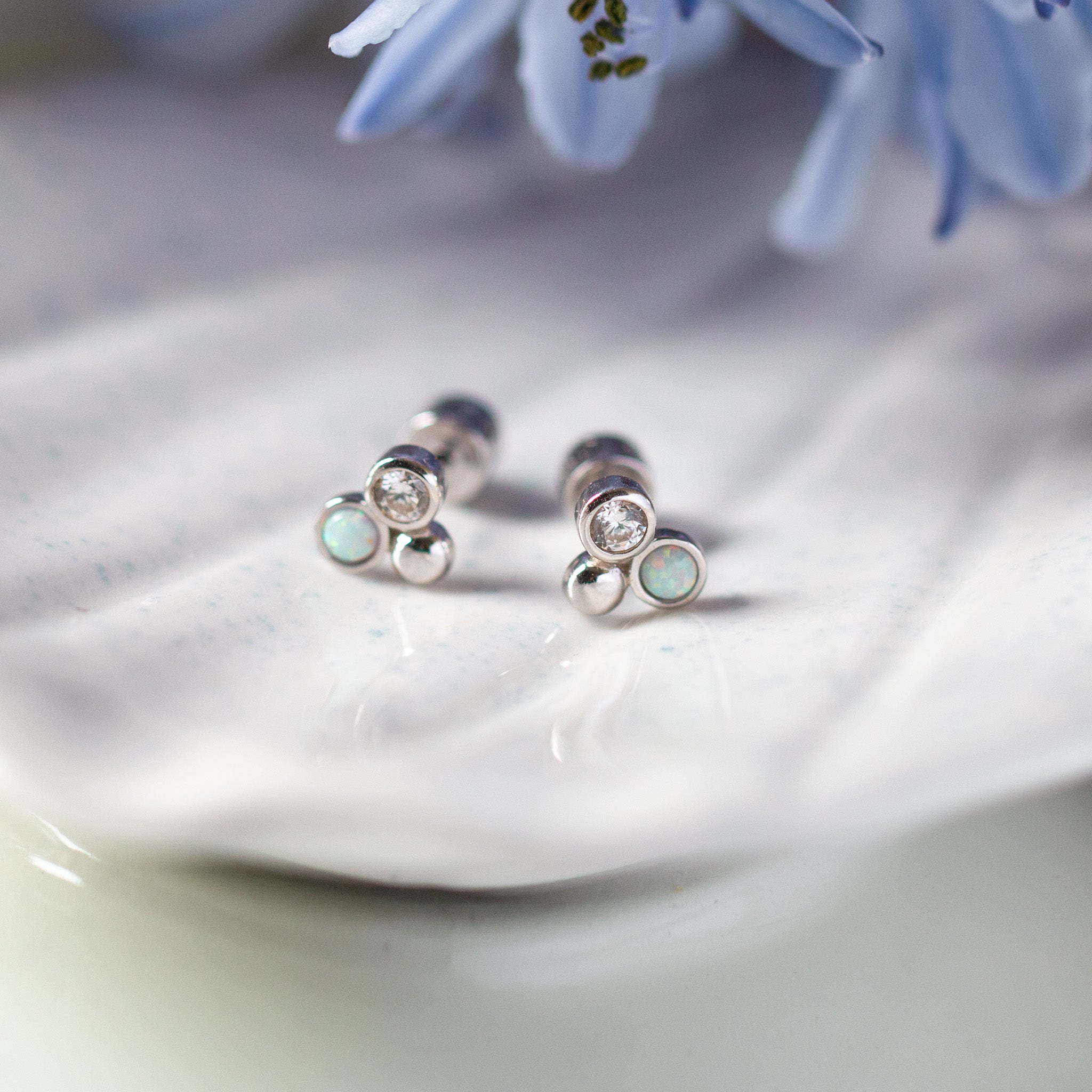 Beloved Studs - Seek + Find