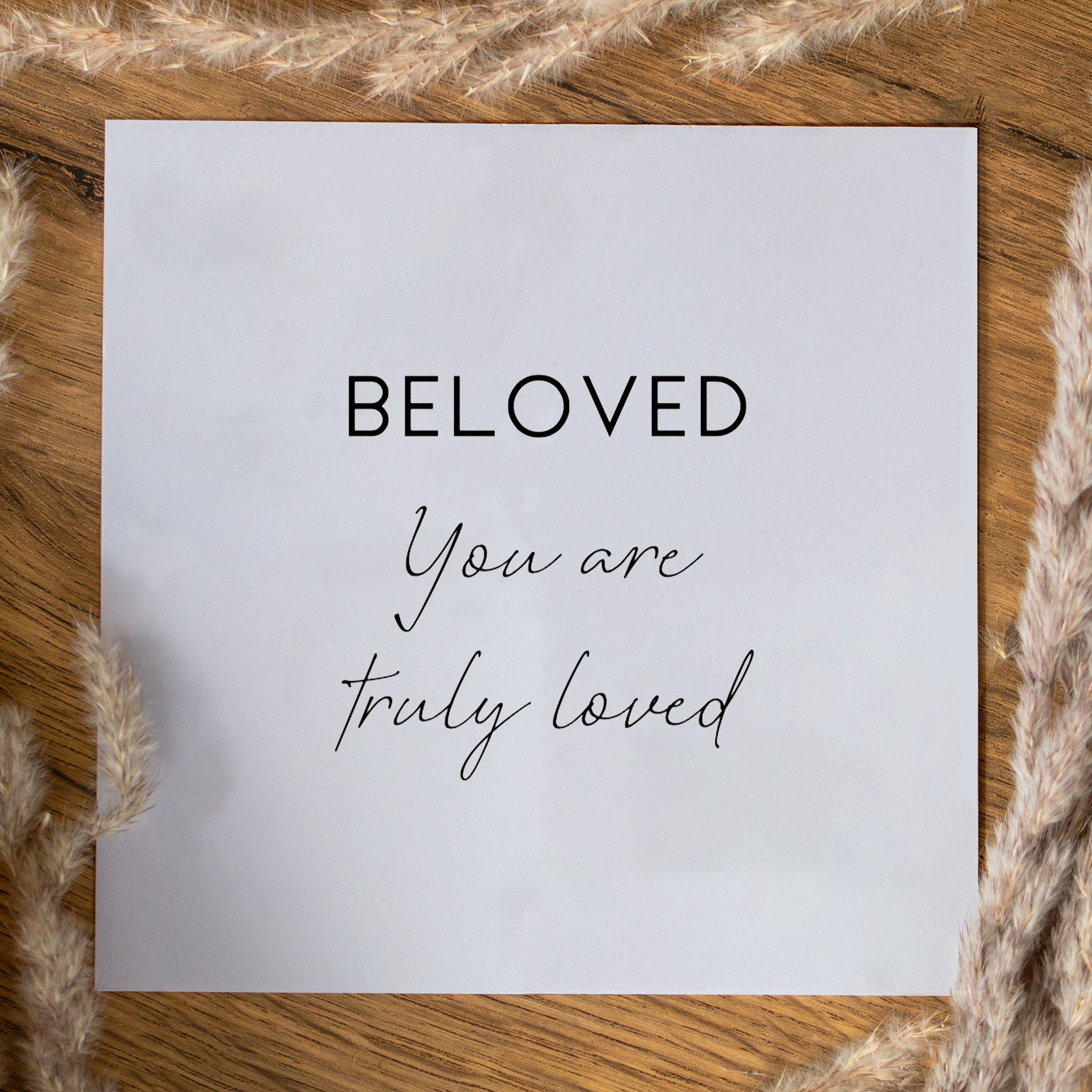 Beloved Studs - Seek + Find