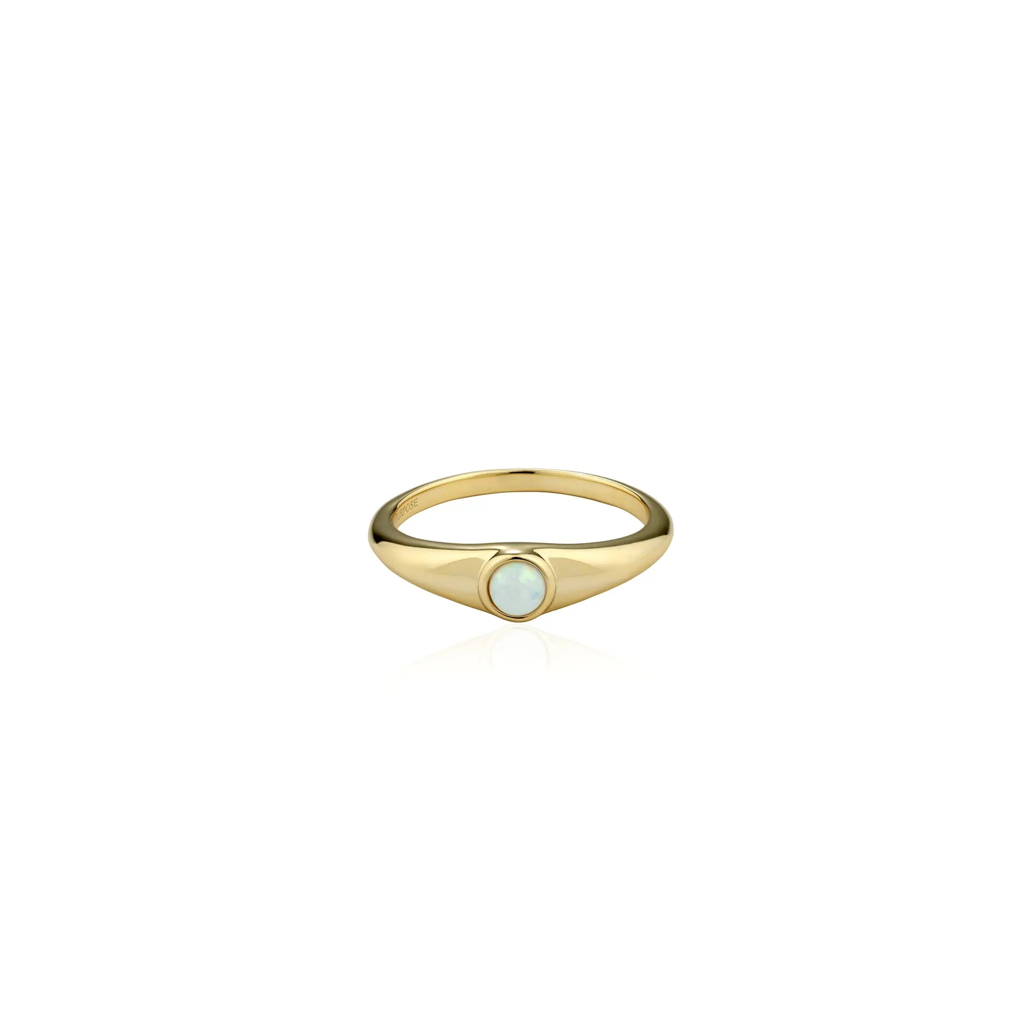 Purpose Ring - Seek + Find