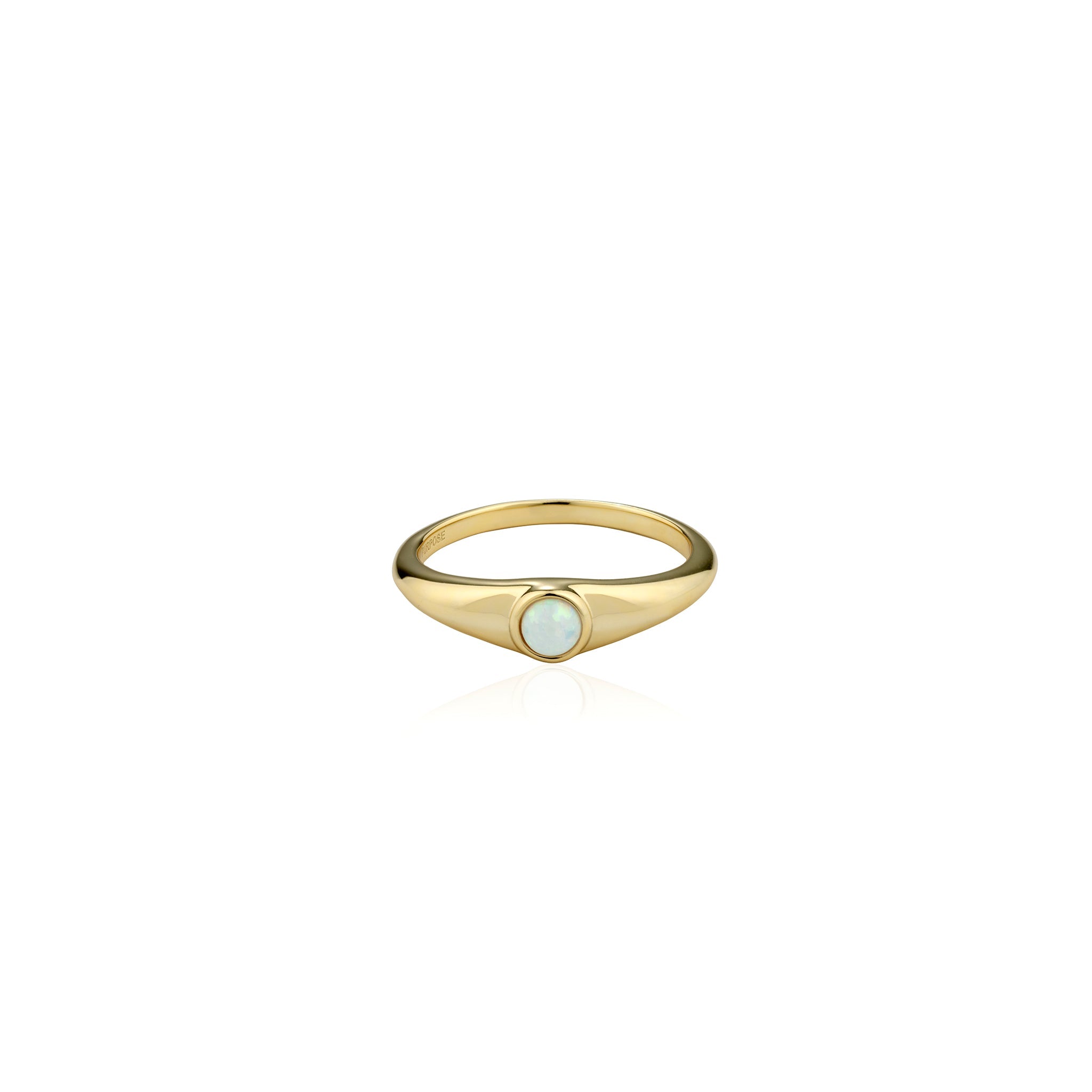 Purpose Ring - Seek + Find