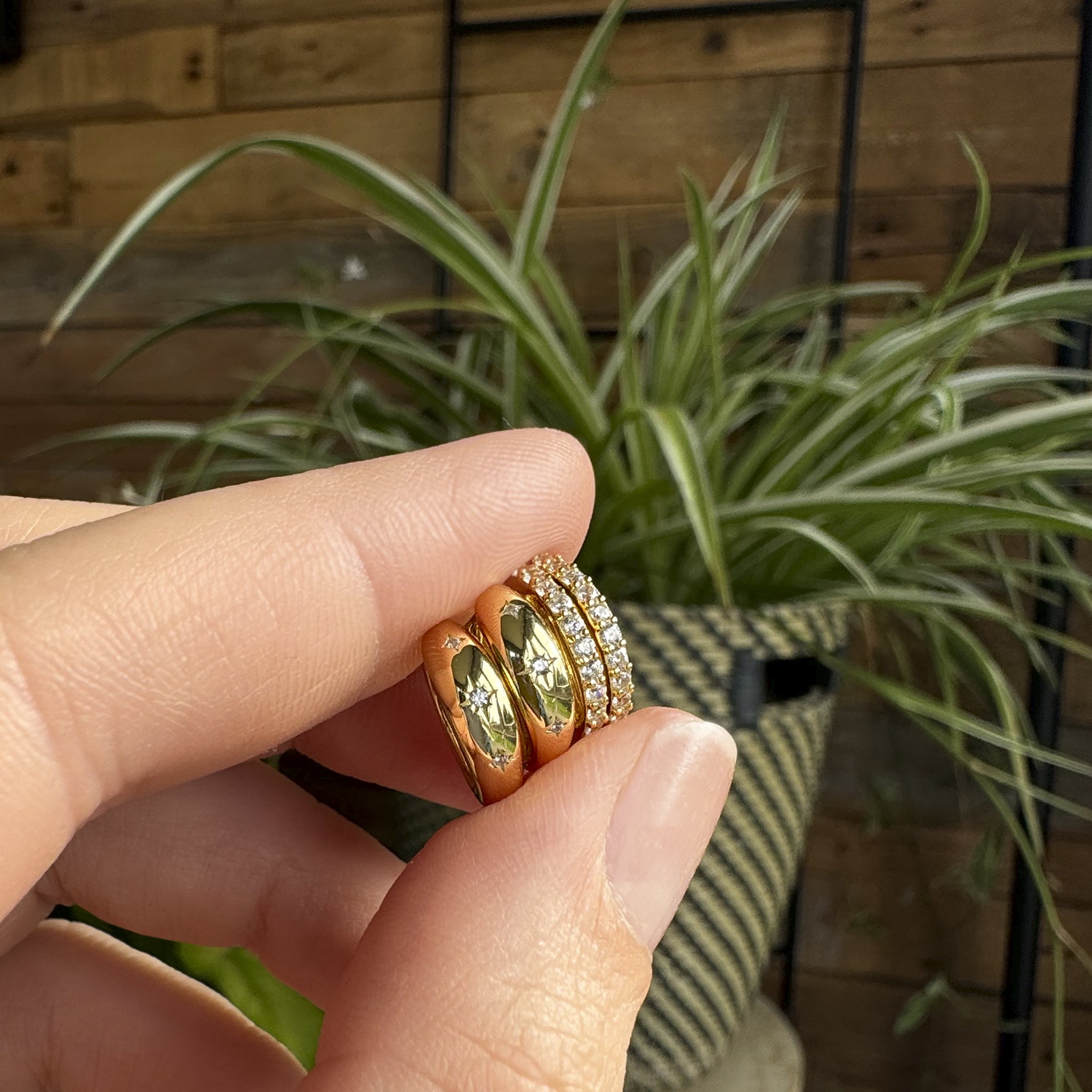 Shine Dome Huggies - Seek + Find