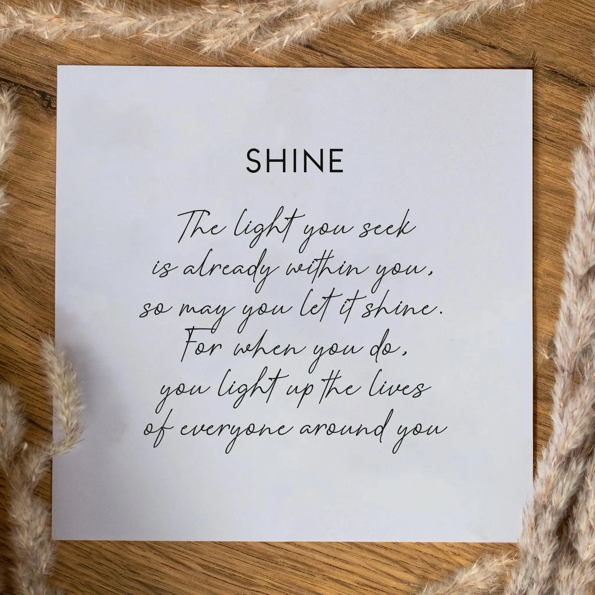 Shine Dome Huggies - Seek + Find