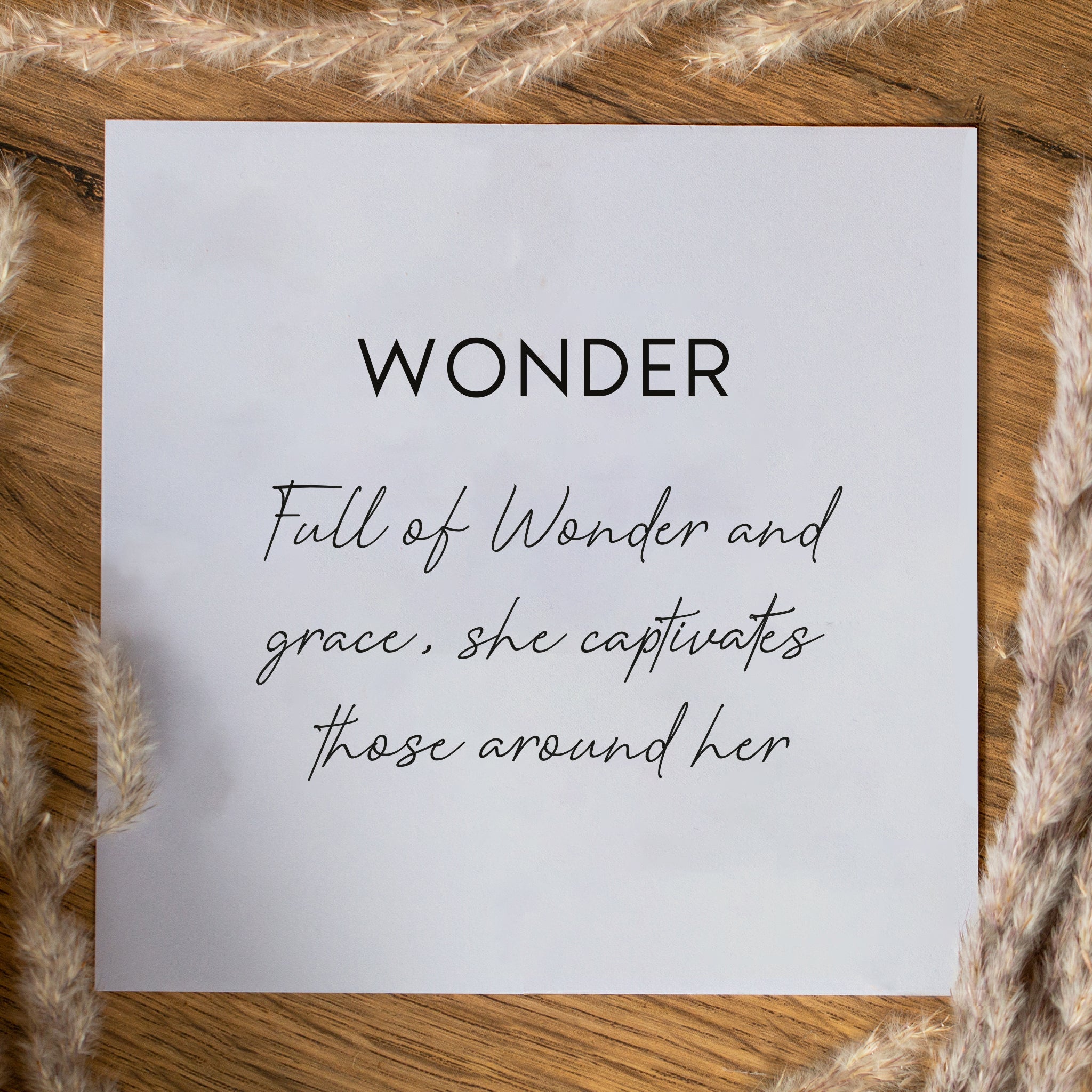 Wonder Huggies Seek + Find