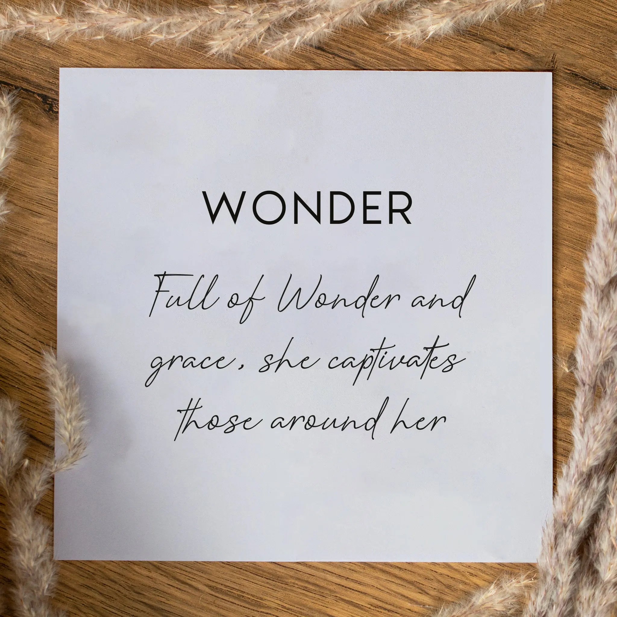 Wonder Huggies Seek + Find