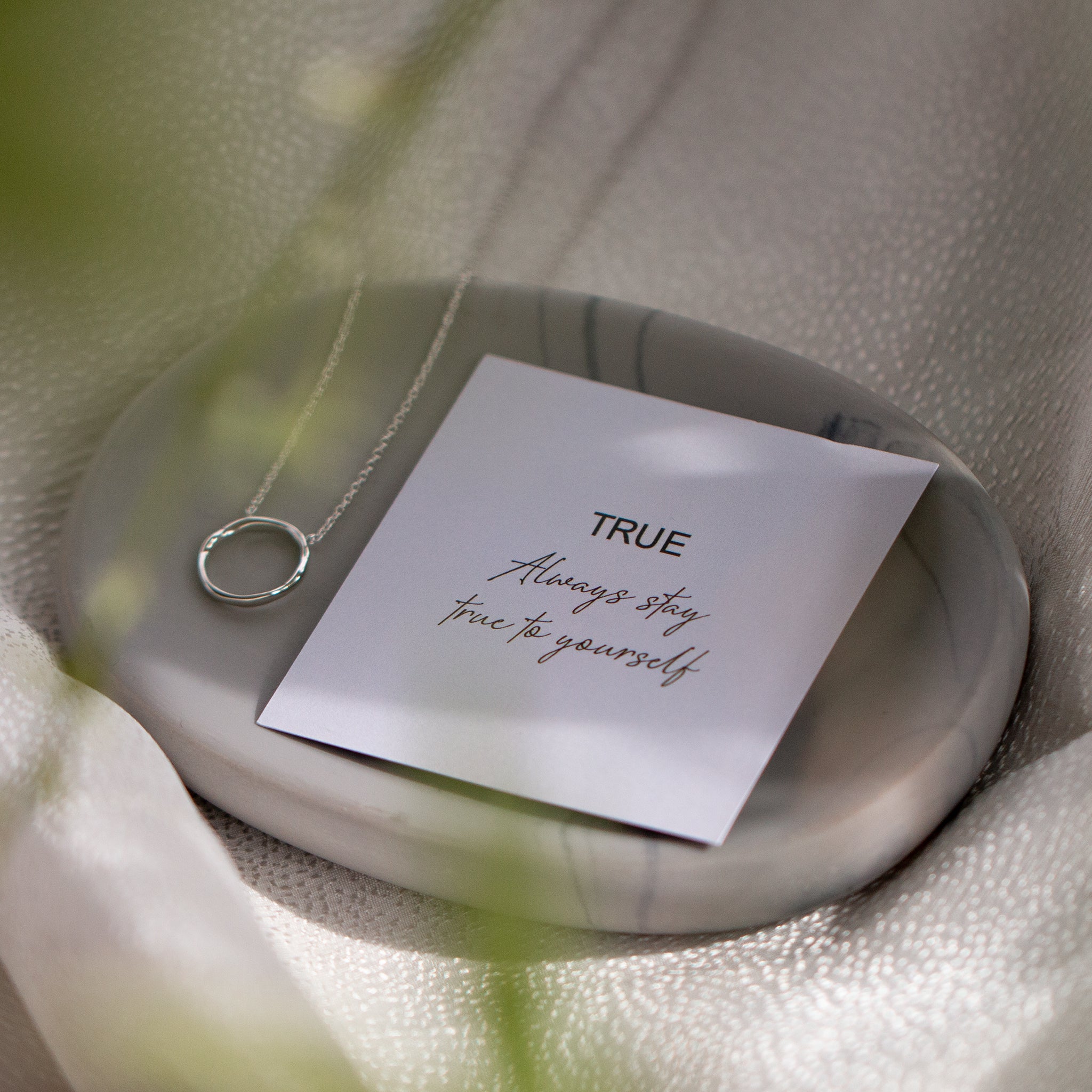 True Necklace - Seek+Find