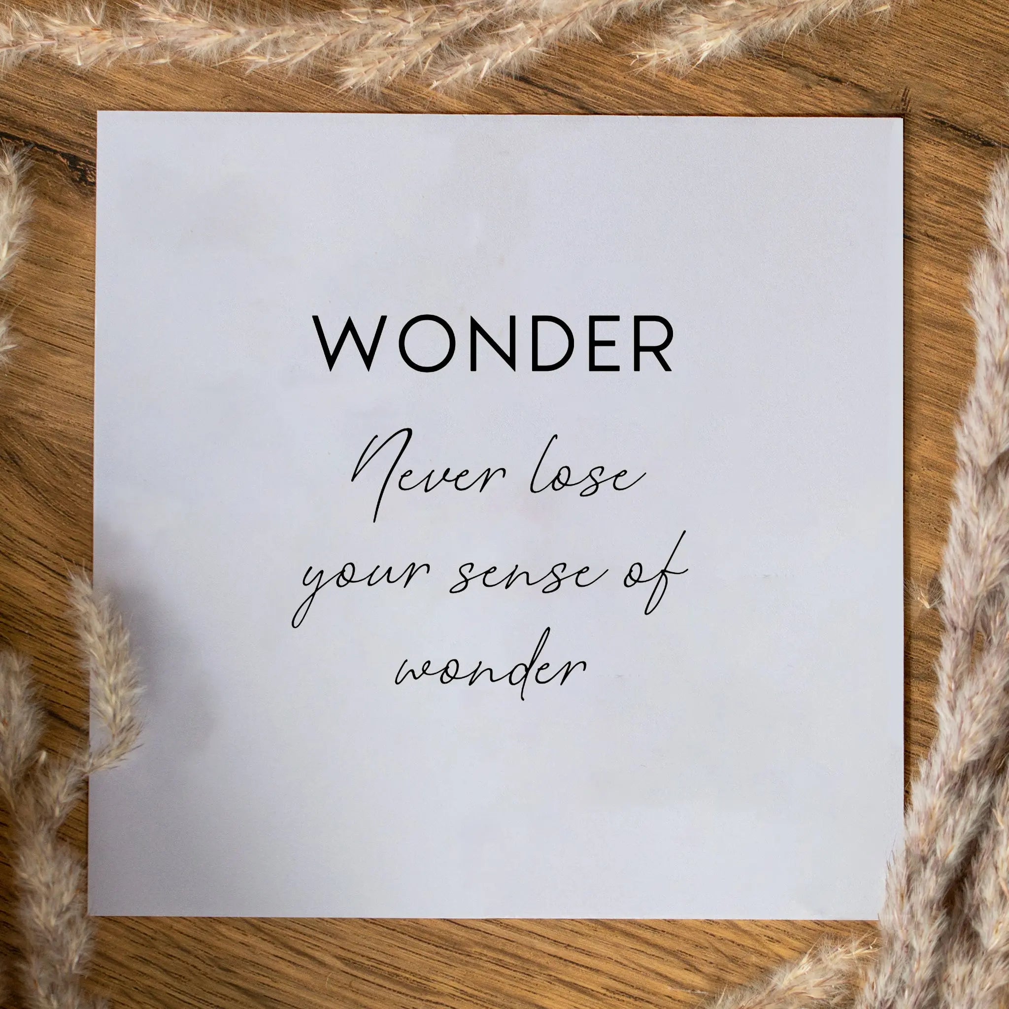 Wonder Drop Huggies - Seek + Find