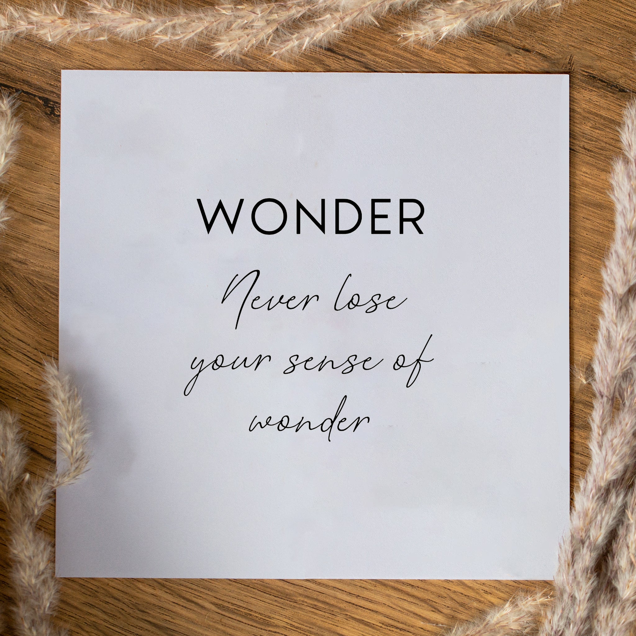 Wonder Earrings - Seek + Find